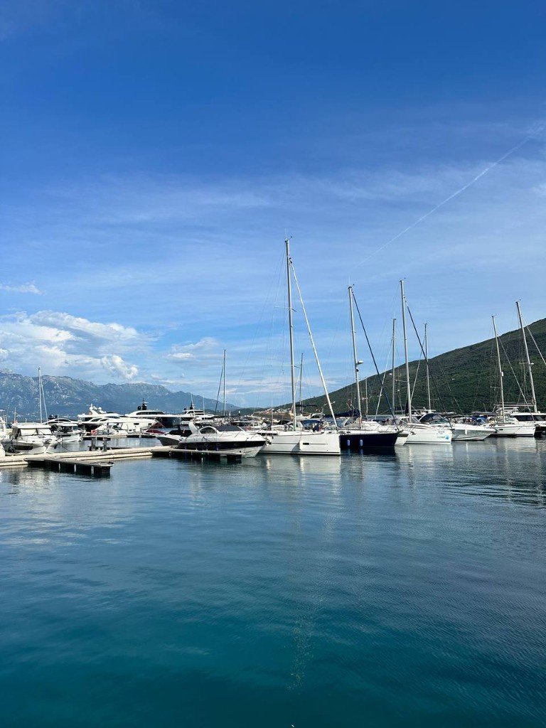 Porto Novi marina near Đenovići